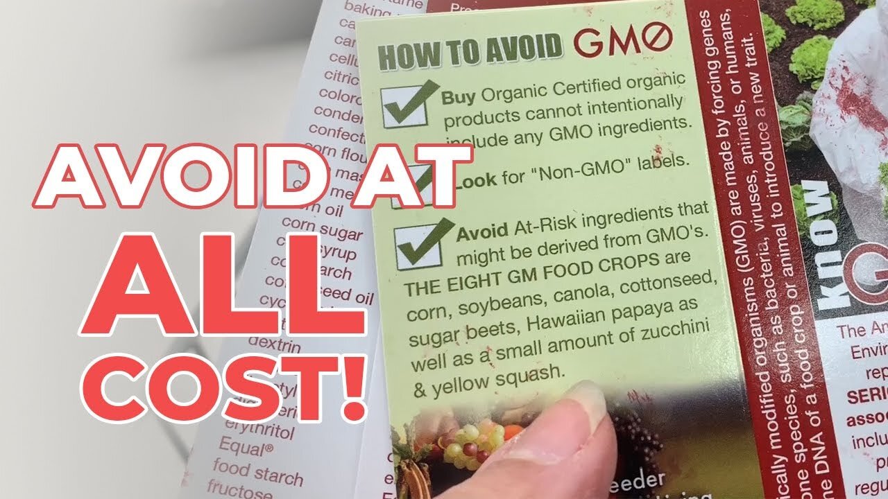 GMO Foods Alter Organ Function