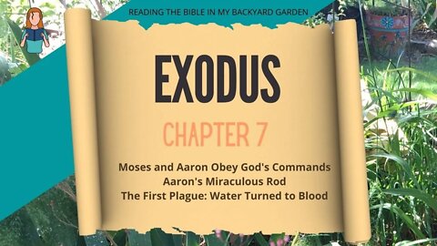 Exodus Chapter 7 | NRSV Bible Reading