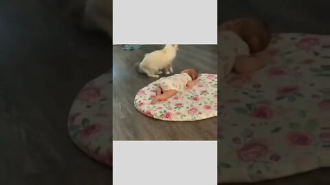 The babies rest together 🥰