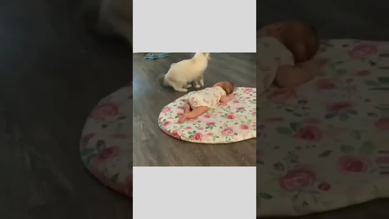 The babies rest together 🥰