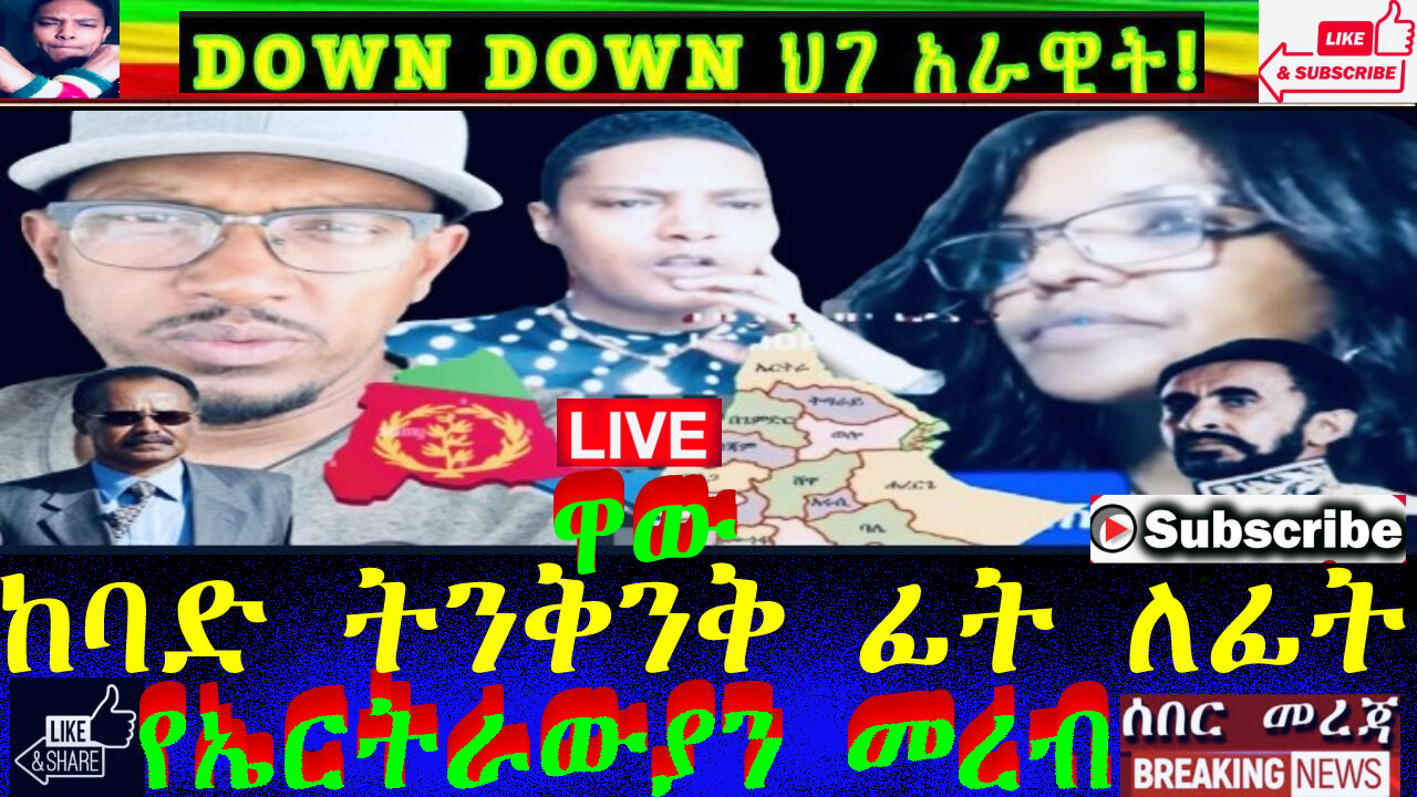አስደንጋጬ የመጨረሻው የኤርሚ ውሳኔ