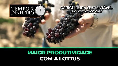 Maior produtividade com a Lottus