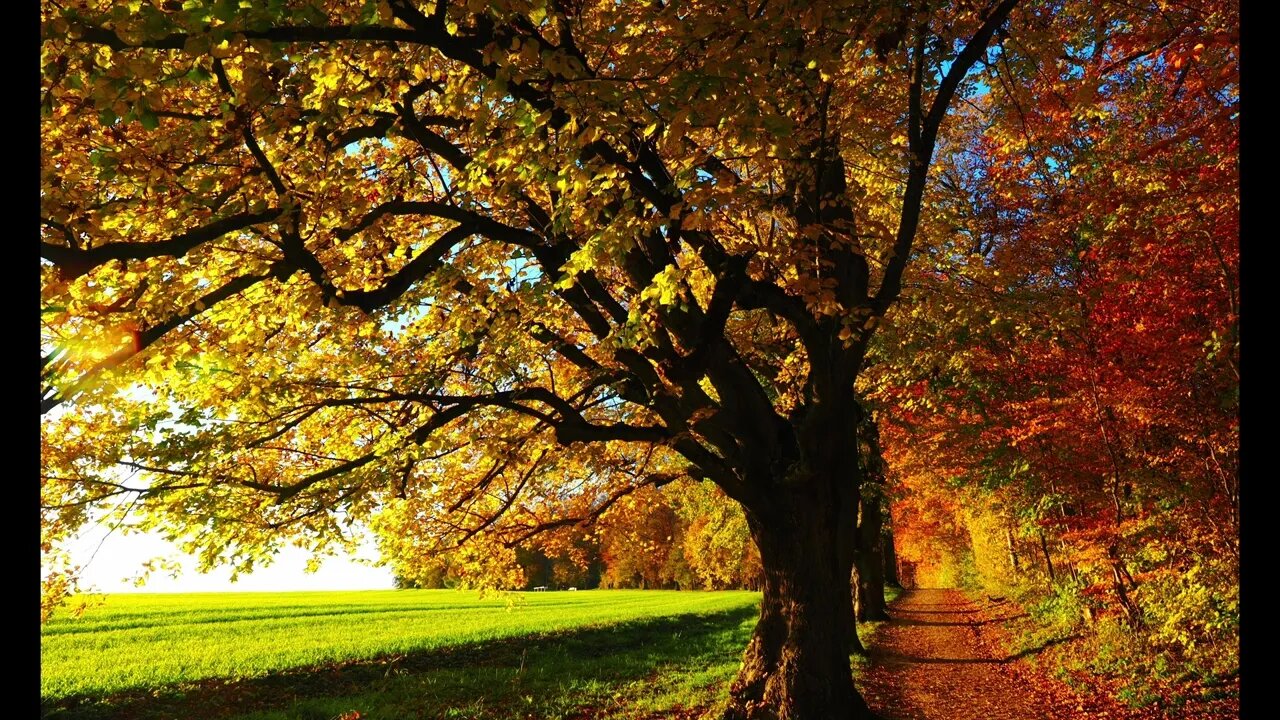 Autumn/Fall Season sounds | Still image [2-hour edition]
