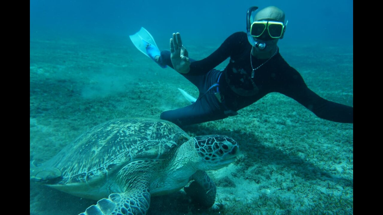 freediving in marsaalam egypt