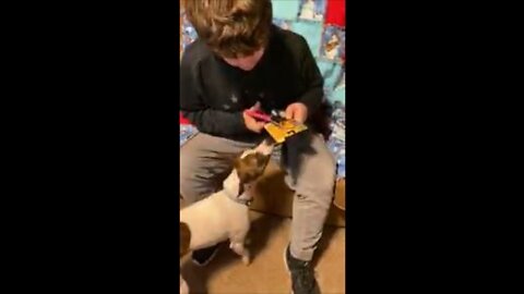 Princess helps Noah get workout gloves