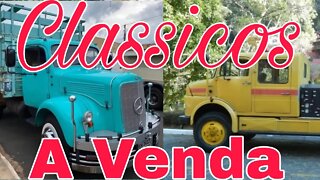 Ep.24 🚚 Caminhões Clássicos à Venda 📉 QRA Oliveira