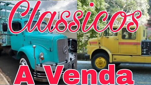 Ep.24 🚚 Caminhões Clássicos à Venda 📉 QRA Oliveira