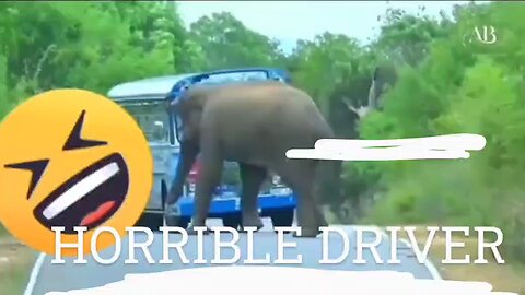Horrible driver rash driving
