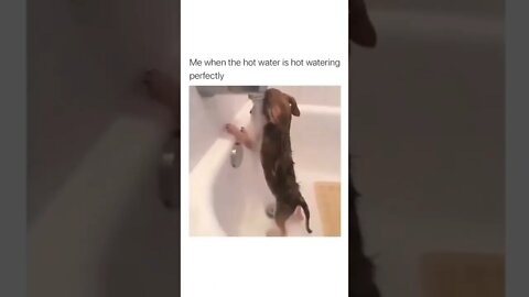 😂😅