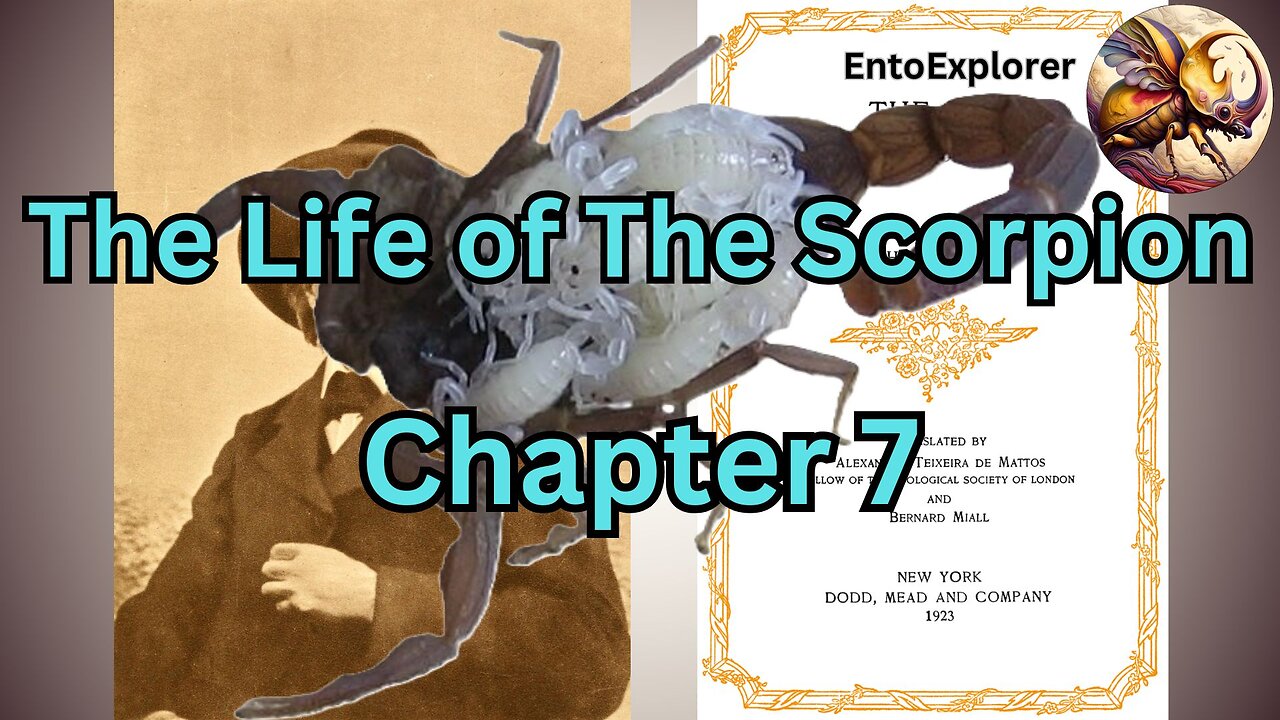 The Scorpion Family - Chapter 7 - The Life of the Scorpion by Jean Henri Fabre