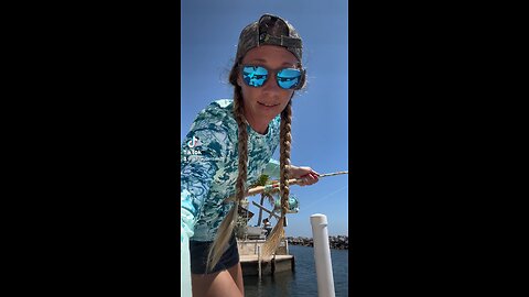 Nurse shark on light