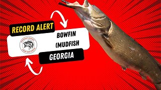 KAYAK BASS FISHING and catching BASS and MUDFISH