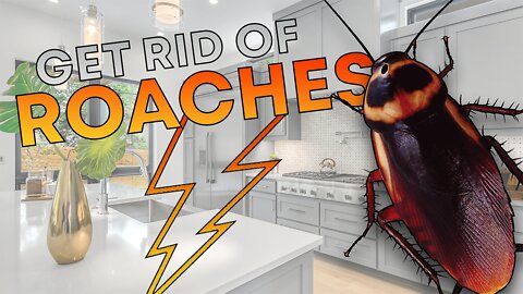 🪳12 Natural Ways To Get Rid Of Cockroaches🪳 | Tiggio