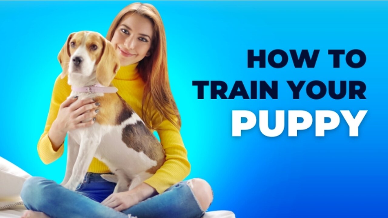 How to train your puppies