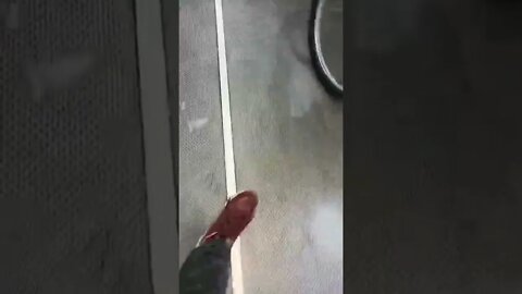 frutos del piso en el #trensarmiento