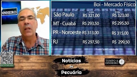 Boi gordo recua nas principais praças pecuárias: é safra!