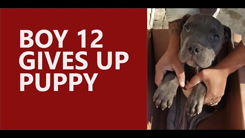 Boy 12 gives up dog