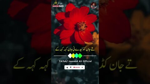 Sachi Yaari Lao Us Rab Dy Nal - Punjabi Poetry Whatsapp Status - Sad Saraiki Shero Shayari Dohray