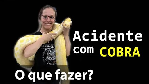 #44 Acidente com cobra/serpente: O que fazer?