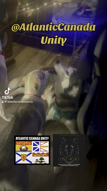 The WolfPack is excited for Valentine’s Day!!!