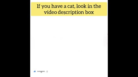 cute cat videos 😹 funny videos 😂109