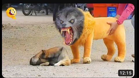 Troll Prank Dog Funny & fake Lion and Fake Tiger Prank To dog & Huge Box Prank to dog