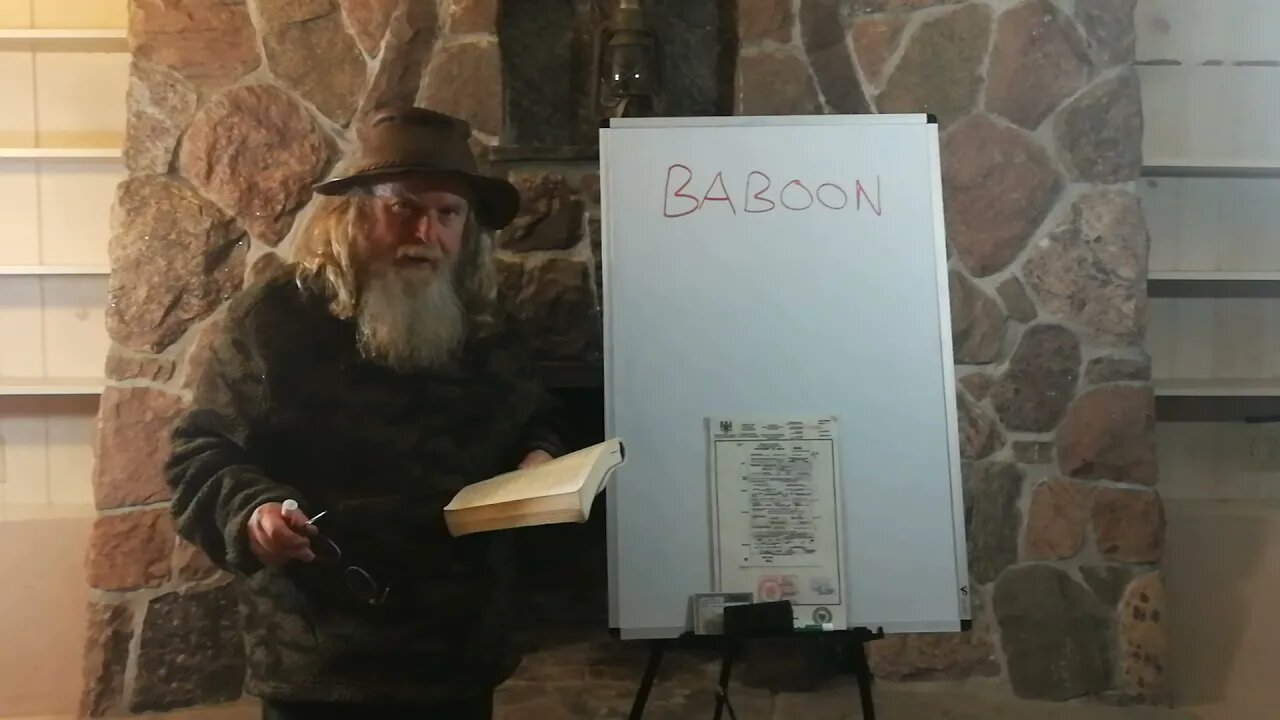 436 DEFINITION OF THE WORD: BABOON