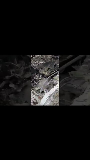 Breaking News (War-Related) #shorts