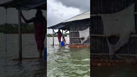 জোয়ারে বাঁধের আরেক পাশ ভেঙে গেছে #shorts #shortsvideo #voiceofkanij