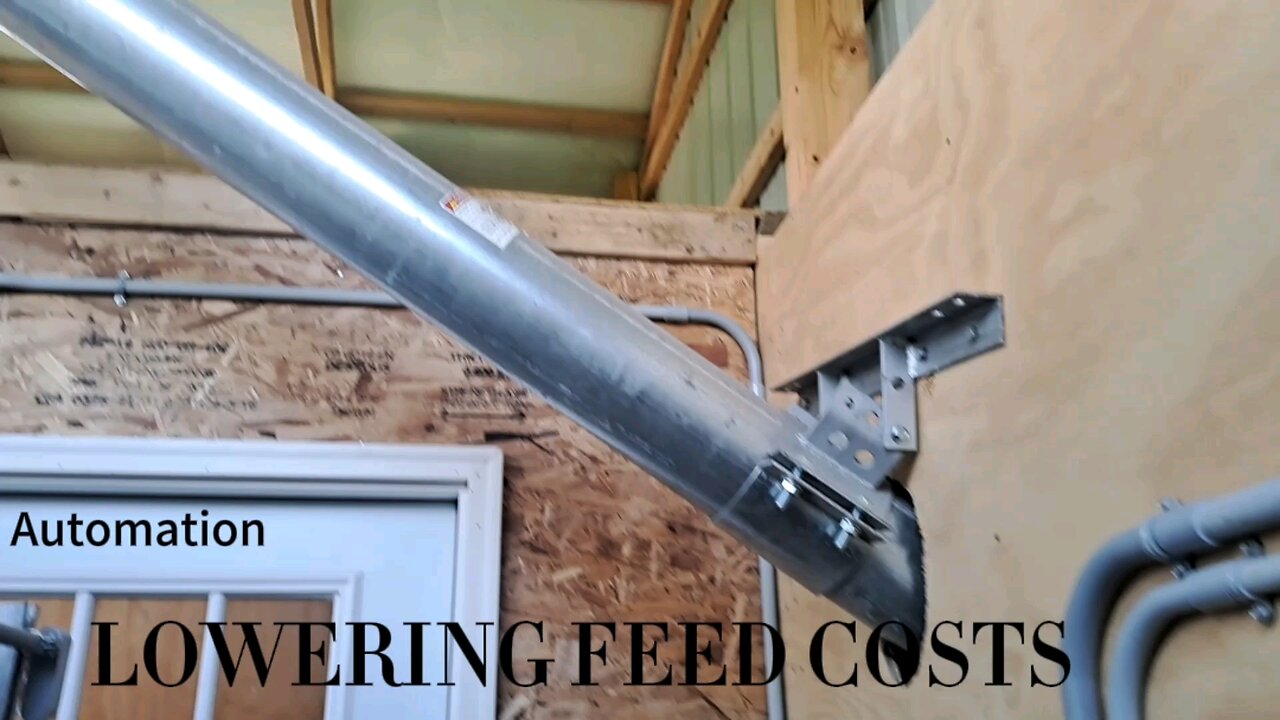 Soybean Roasting V1