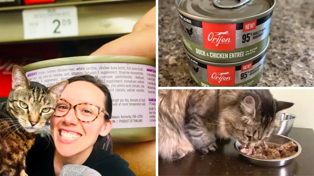 Orijen has wet cat food! Let's review it