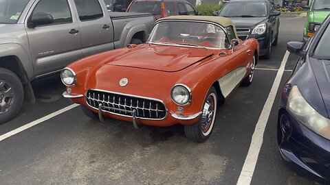 1957 Chevy corvette…in the wild