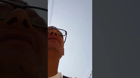 taking the white isolate from Wonderland Gardens