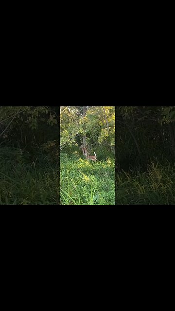 Kelley’s Outdoor Adventures The RVdrifters taking a walk