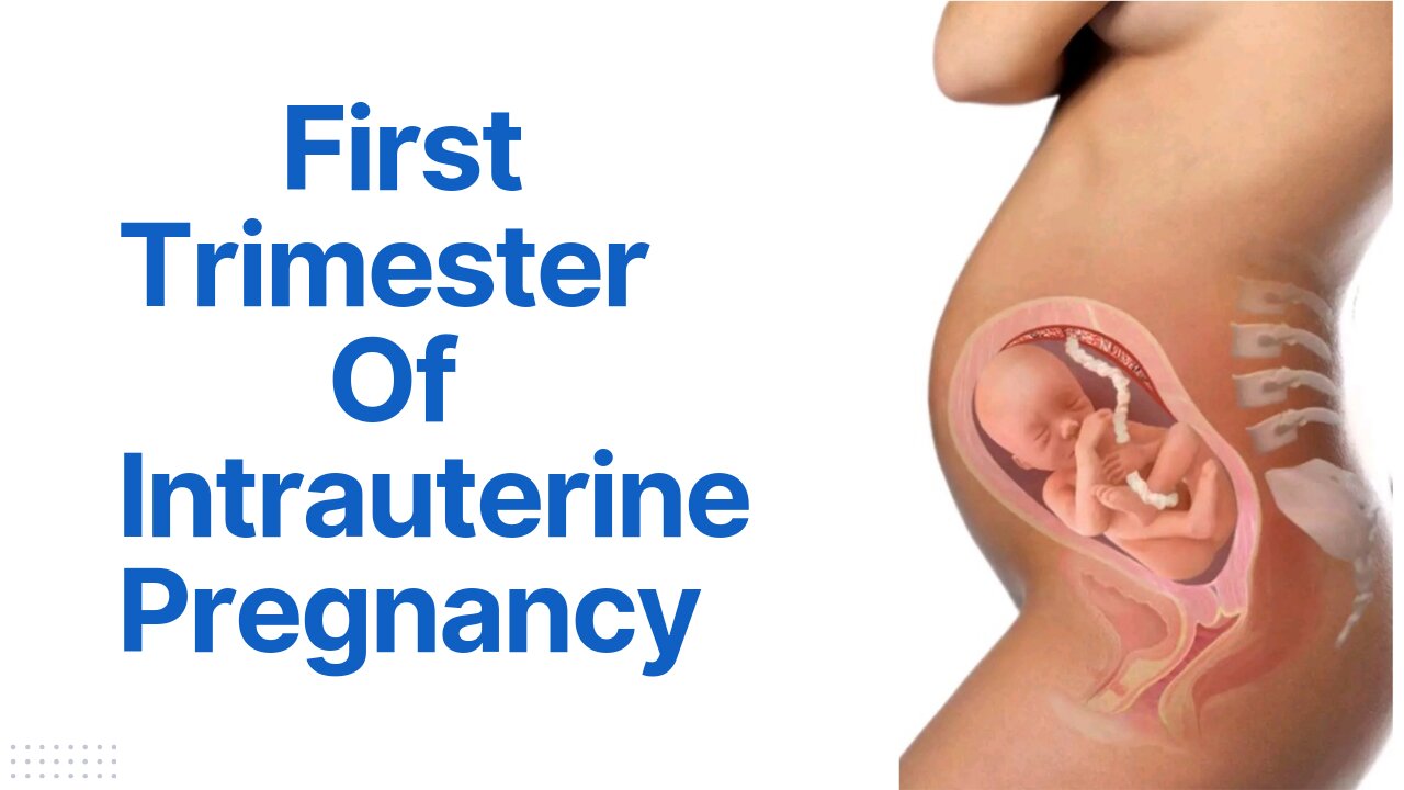 First Trimester Of Intrauterine Pregnancy