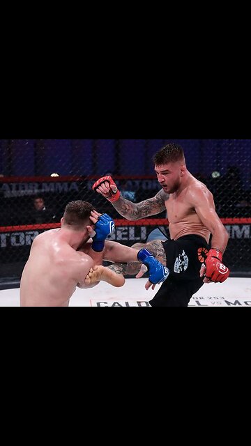 Mixed Martial Arts fights. 2000