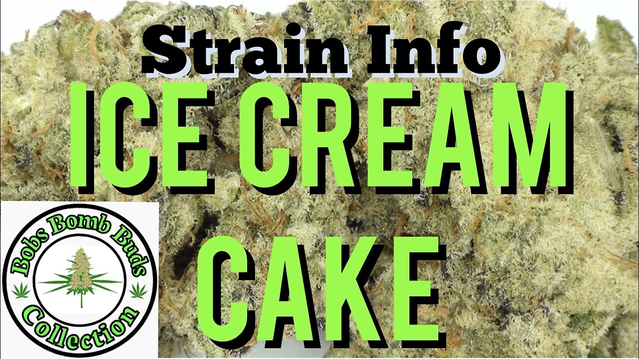 Ice Cream Cake By Seed Junky Genetics & From Chronic Farms Weed Dispensary