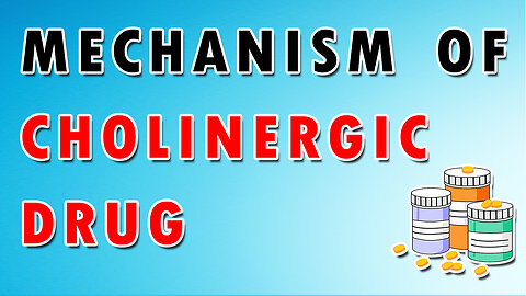 Understanding Cholinergic Drug - Physostigmine, Neostigmine, Pyridostigmine, and Rivastigmine