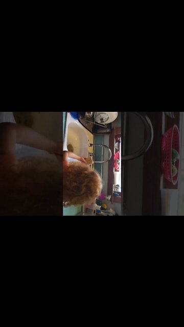 eve learning to wash dishes