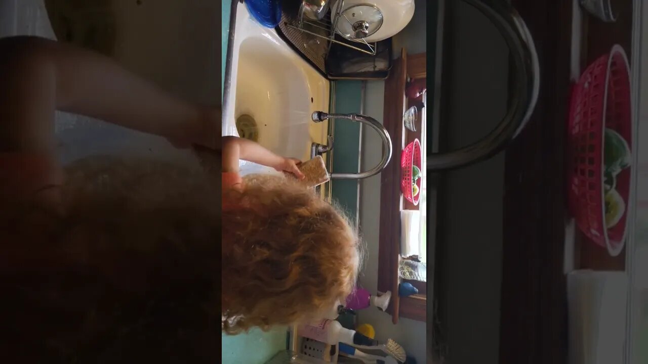 eve learning to wash dishes