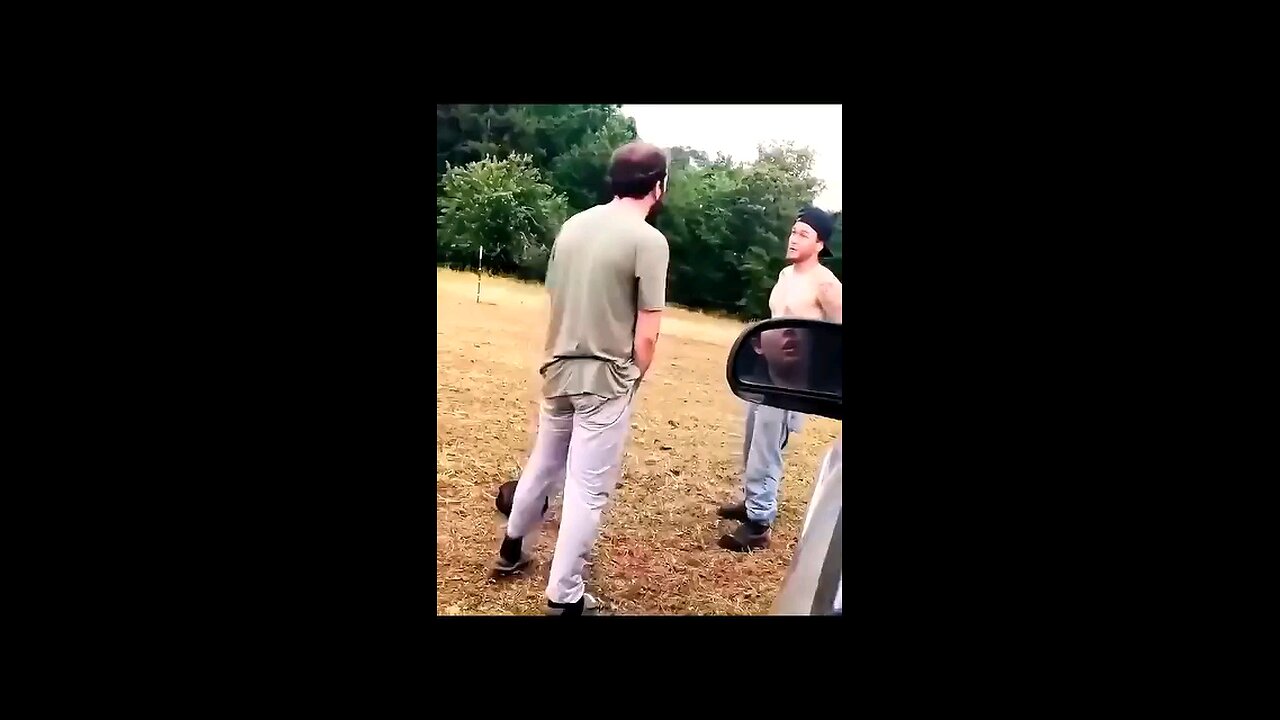Best funny videos