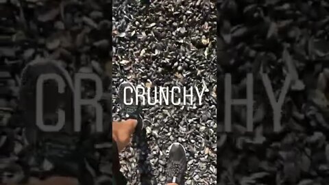 That crunch tho 😺