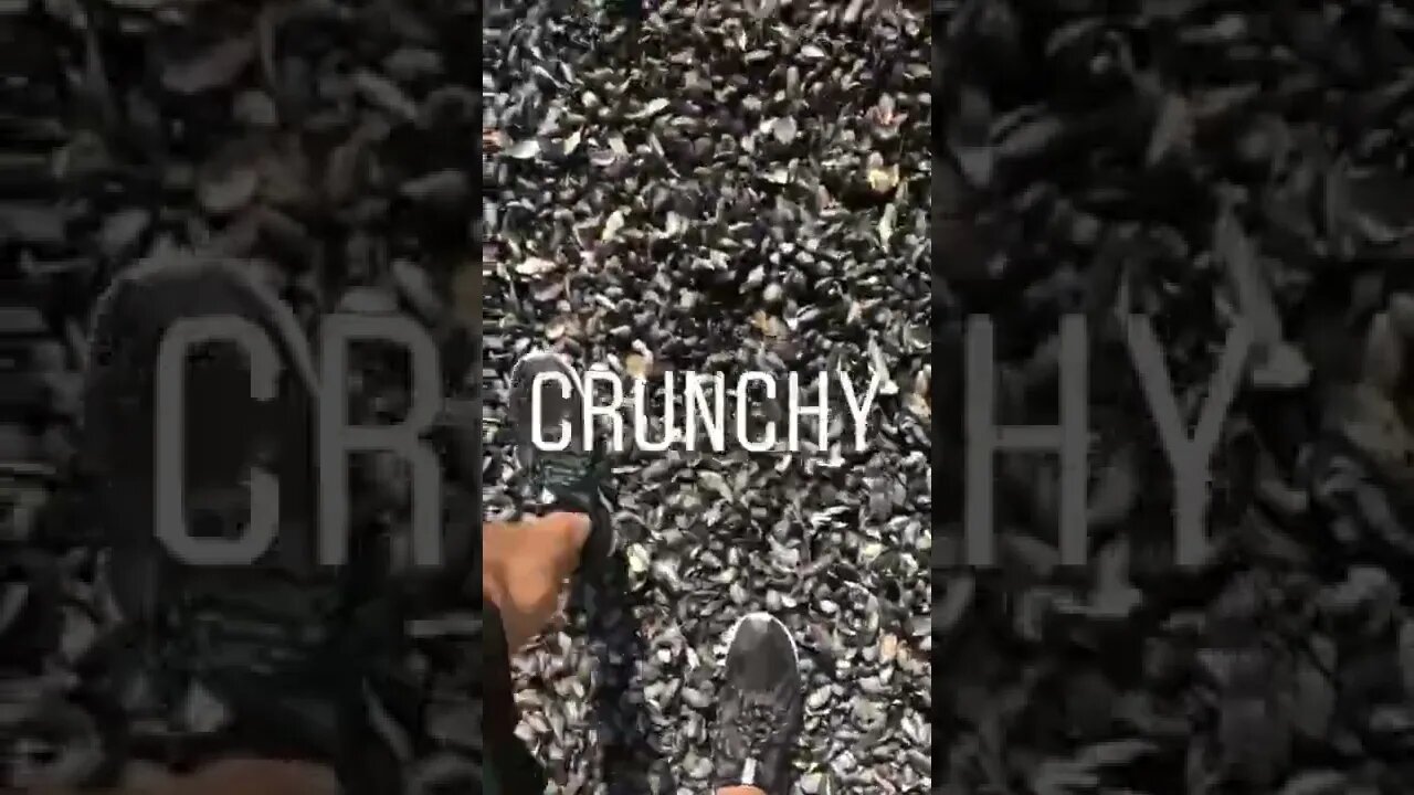 That crunch tho 😺