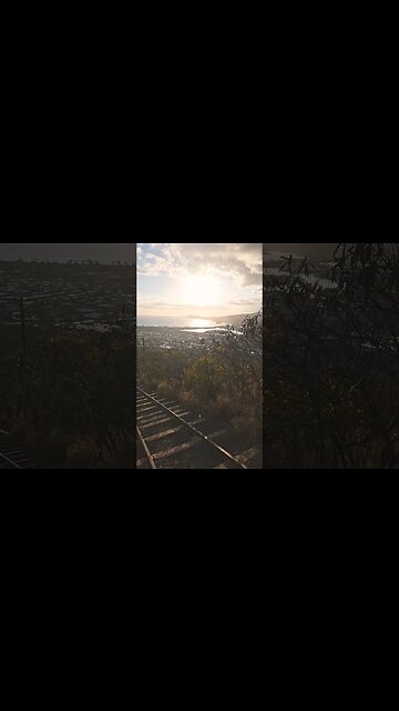 Koko Head Stairs of Insanity...