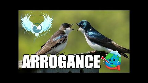 Arrogance et fausse science - La maladie de la société terrestre, partie 2 - Za'el de Erra.