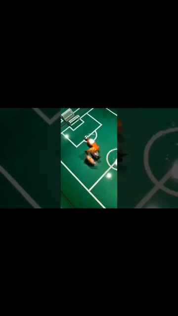 peixes jogando futebol 😲😲😲