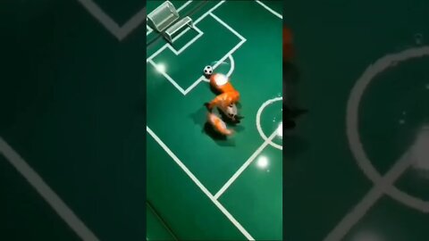 peixes jogando futebol 😲😲😲