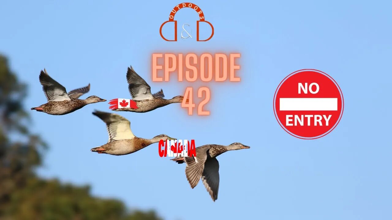 Episode 42 Monster Gators, Canadian Birds, & A give Away!