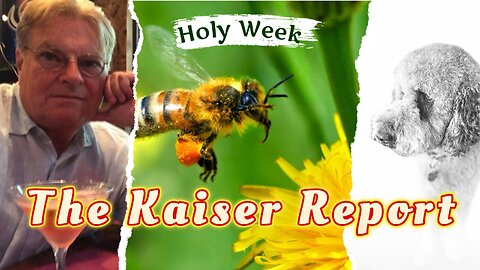 Kaiser Report