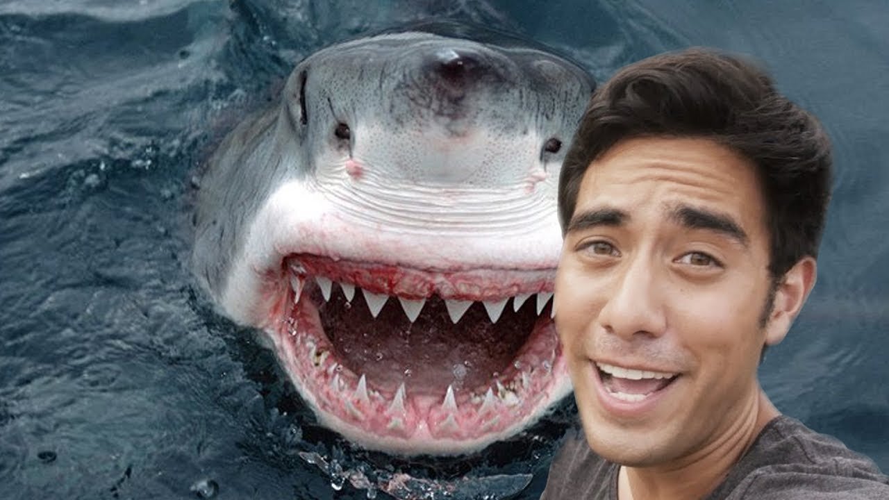 Top New Zach King Funny Magic Vines 2023 _P6